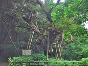 sklfh̑Hȑh؁iqŁj̓eʐ^1