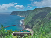 sklfh̖Â̓W]̓eʐ^1