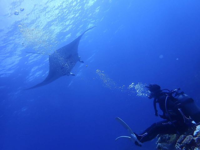 �}���^��...._�����C�g�Ί_���_�C�r���O�V���b�v