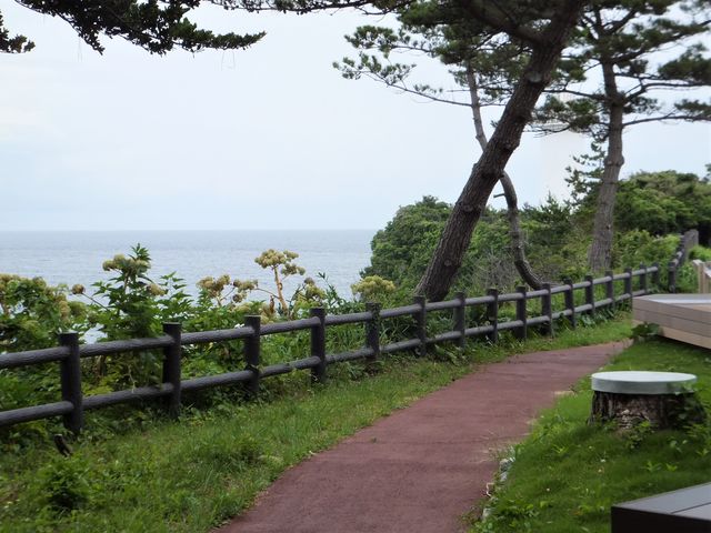 �J���[�ܑ�����Ă��ĕ����₷���ł��B_����̓�