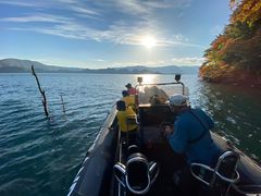 ق[̃BgJ̓]ւ̓eʐ^1