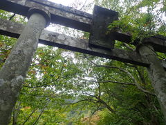 �}�C�a�n�n����̖�F�R�n�C�L���O�ւ̓��e�ʐ^1