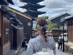 �Ȃ�����̍��Y�����^�������@�a���؂ւ̓��e�ʐ^1