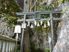 �ے�����̑��Y�V�{�ւ̓��e�ʐ^1