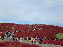 znIW̍cЂClւ̓eʐ^1