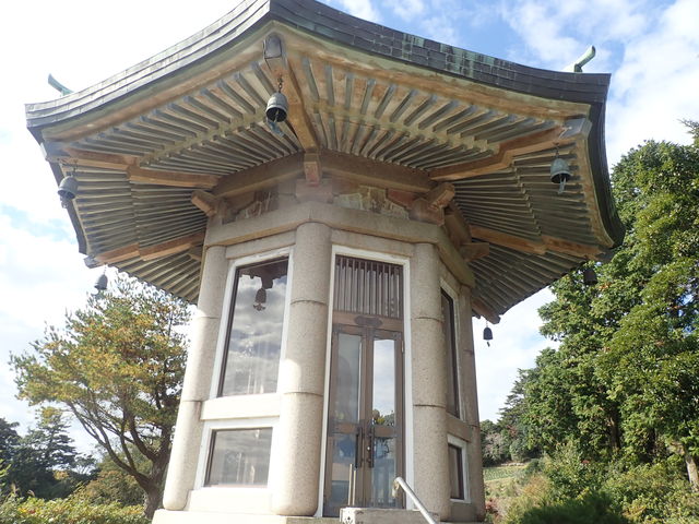 �}�C�a�n�n����̖��@�����i�����������j�̓��e�ʐ^4