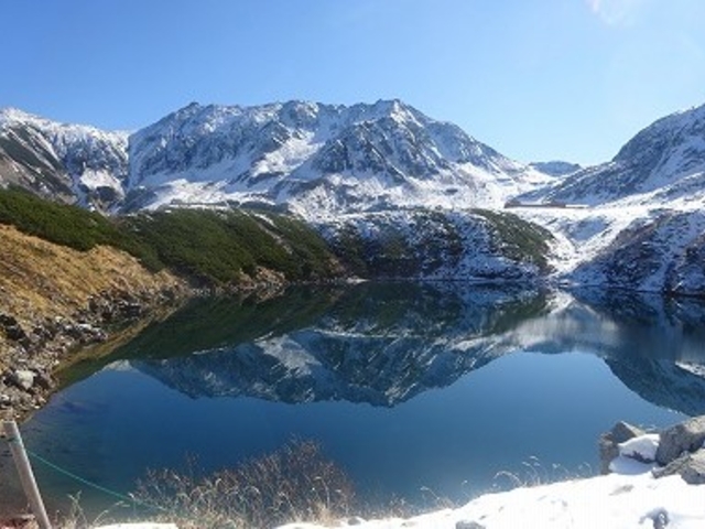 �݂��肪�r�Ɨ��R_�݂��肪�r