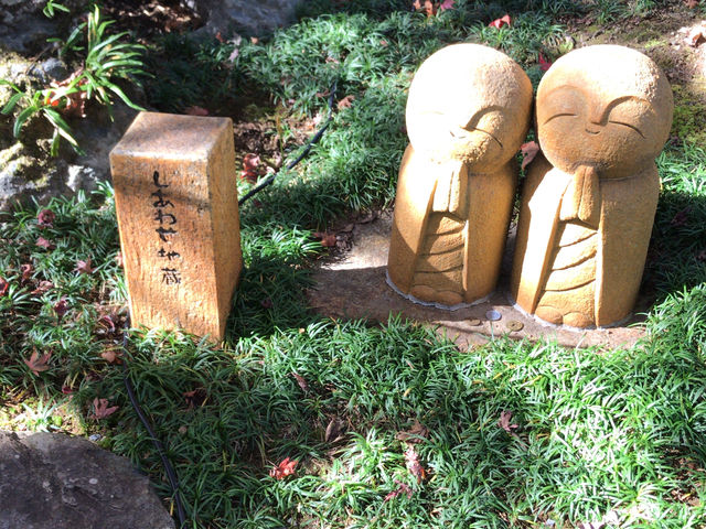 �����킹�n��_�󓿎�