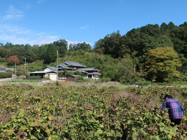 ���n���i_�吼�_��