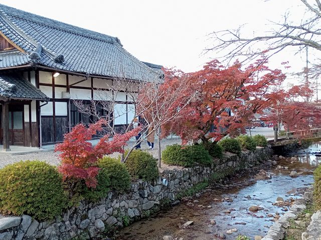 �����쌹�����ƓV��R������_�V��R������