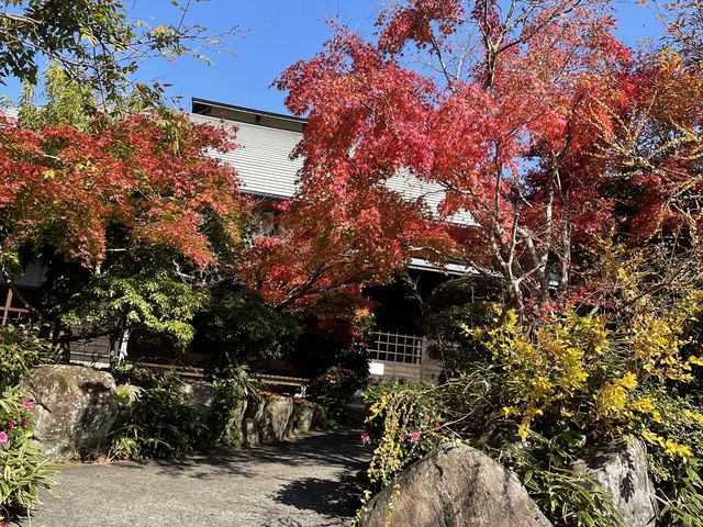 ���ԏꂩ�������t�߂̎ʐ^�ł��B_�����Y��