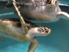 肿񂳂̂ނƔpZقւ̓eʐ^4