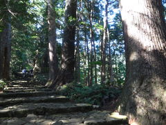 �ۂ�ۂ�����̌F��Ó��@����ւ̓��e�ʐ^1