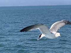 ܁[ڂ̗LtF[ւ̓eʐ^2