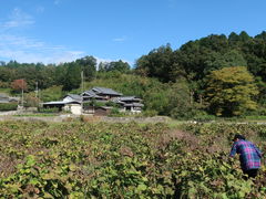 ۂ񂳂̑吼_ւ̓eʐ^1