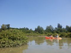 ۂ񂳂̉nGRc[lbgւ̓eʐ^1