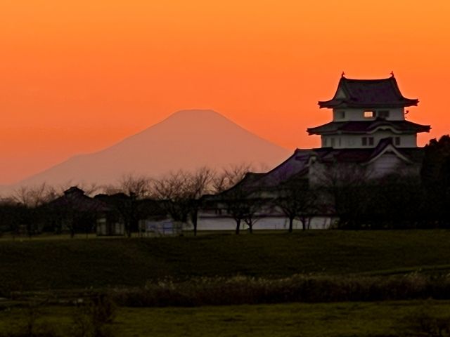 ƕxmR̃R{[V͂łȂI_t֏h锎