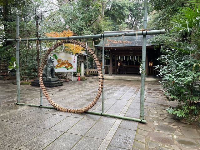 �����ɂ��s�������Ȃ��`_��؁@�z�K�_�Ёi��t�����R�s�j