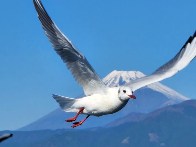 �D��_���ǂ���Í`�V���N���[�Y