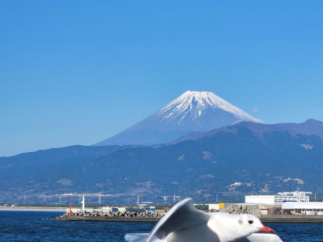 �D��_���ǂ���Í`�V���N���[�Y