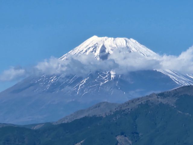 �x�m�R_���ǂ���Í`�V���N���[�Y