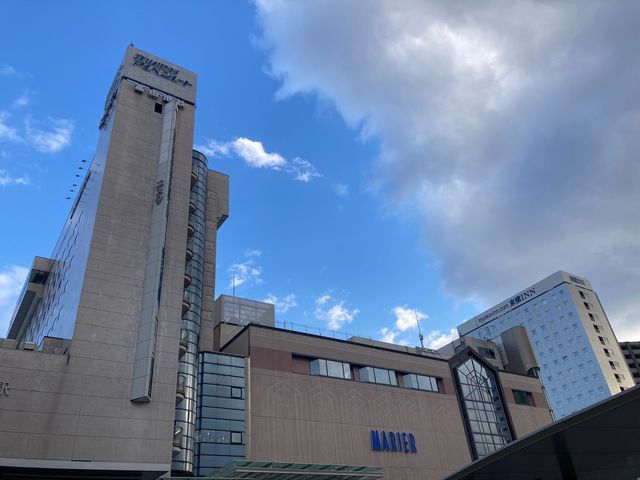 �}���G�Ƃ��_�}���G�Ƃ��