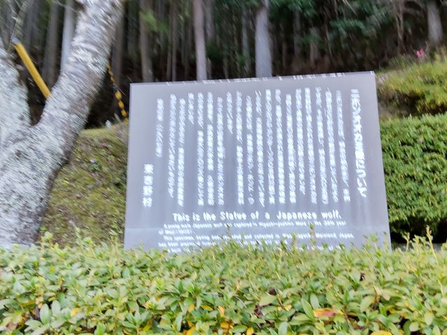 ˂񂳂̃jzIIJ~̑̓eʐ^2