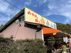 񂿂ȃIW̑׎Rւ̓eʐ^1