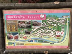 Shota����̐쌩�l�G���̗��ւ̓��e�ʐ^1