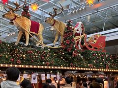 ĂĂ񂳂̘Z{؃qYւ̓eʐ^1