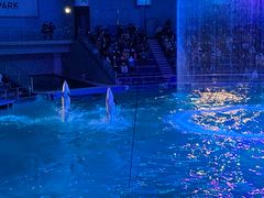 ̃}NZ ANAp[Niւ̓eʐ^1