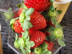 ݂񂳂̂񂽃t@[ւ̓eʐ^1