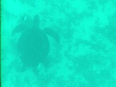 WiT̐약}T[rXւ̓eʐ^1