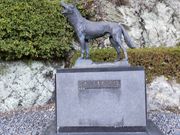 ˂񂳂̃jzIIJ~̑̓eʐ^1