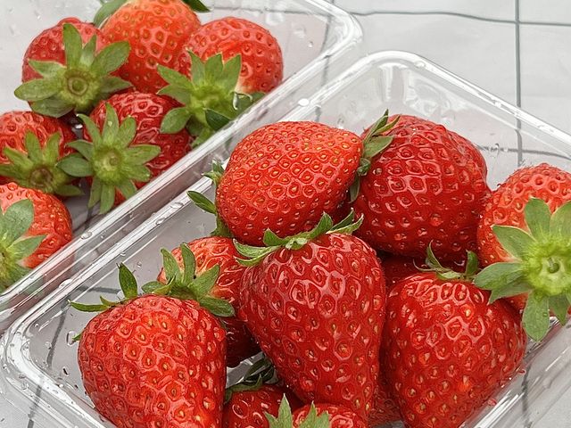 �Â��I_�t���[�c�K�[�f���䂤