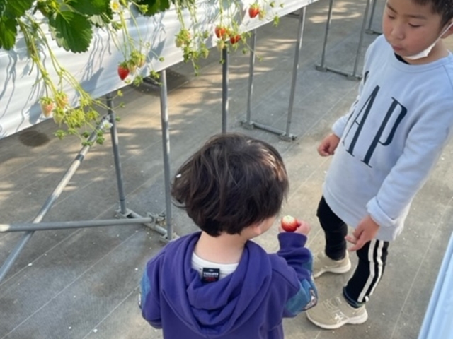 �����������������Ɖ����H�ׂĂ��������т����B���ɂ������̉Ԃт炪�t���Ă��Ă��킢�������ł�_�w���i�E�X�g���x���[�����h