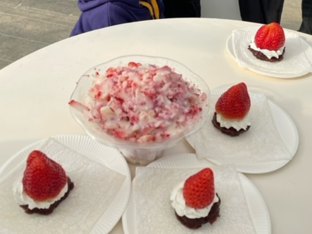 4��ނ̂������ł������啟�����܂����B�����͒g�����̂ł������X���������������ł�_�w���i�E�X�g���x���[�����h