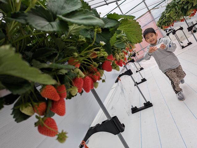 ��ʂ̂������ɑ勻���̑��q_�A�O�������X�^�[�X�y�V����