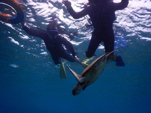 �J�����C�ʂɏオ���ė����u�Ԃł��B_SEA ENJOY