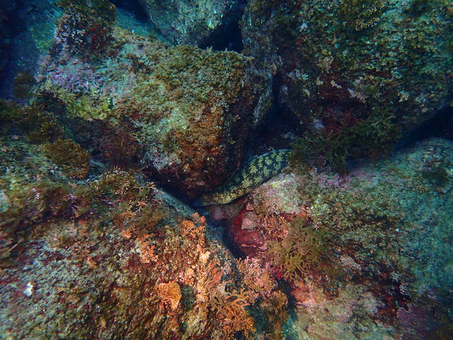 �E�c�{�N���x�ݒ��I_�ɓ��}�����T�[�r�X