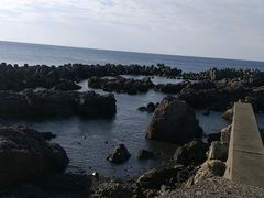 ��������̍s�����ւ̓��e�ʐ^1