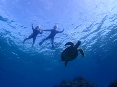 �Ί_���}�����T�[�r�X�߂̉��Ԃ��̎ʐ^2