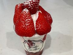 �����N����̃X�g���x���[�p�[�N�݂ӂ˂ւ̓��e�ʐ^1