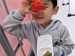 ݂̃AOX^[XyVւ̓eʐ^1