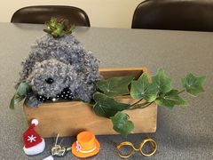 pekõnYLXybgւ̓eʐ^2