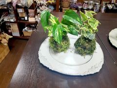 ATTAFlorilegeւ̓eʐ^1