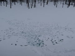 yosshy̐rւ̓eʐ^1