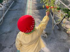 悤񂳂̉zJXgx[ւ̓eʐ^1