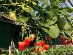 悤񂳂̉zJXgx[ւ̓eʐ^2