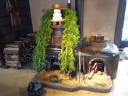 TNTN̋ߍ]XBbWE˂̓eʐ^2